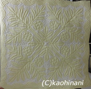 ulu kitagawa